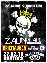 ZAUNPFAHL feiern 22 Jahre Subkultur; offizieller Flyer