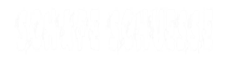 www.schafe-schuesse.de